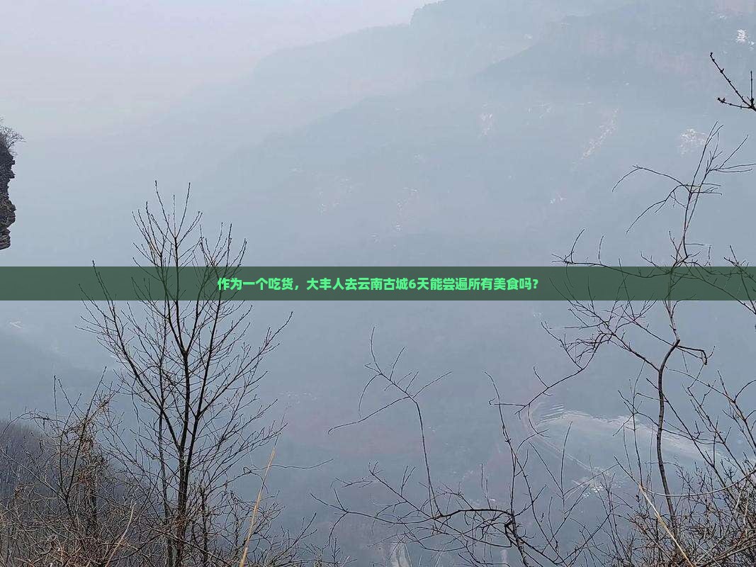 大丰到云南古城六日游