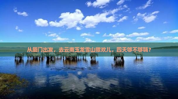 厦门到云南玉龙雪山四日游