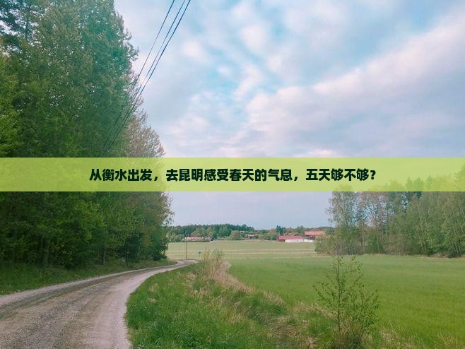 衡水去云南昆明五日游