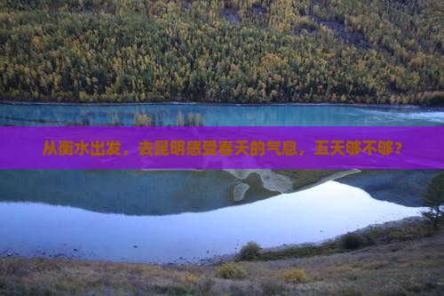 衡水去云南昆明五日游