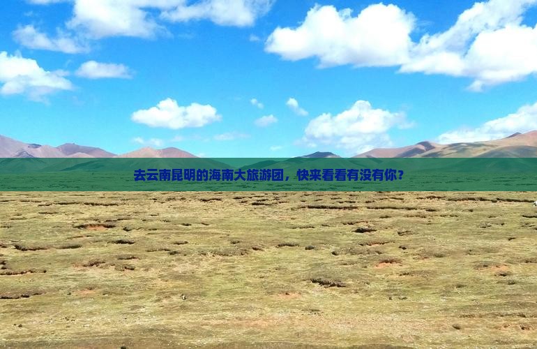 海南省直辖去云南昆明大型旅游团