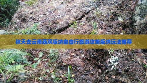秋天去云南西双版纳自由行