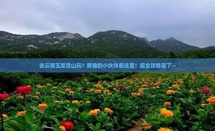 那曲去云南玉龙雪山哪里玩