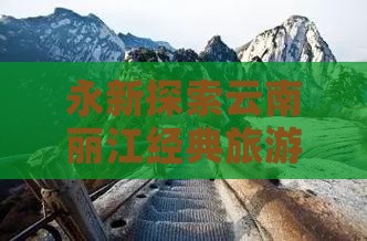 永新到云南丽江自由团