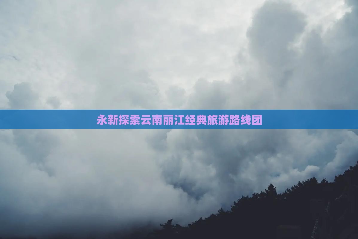 永新到云南丽江自由团
