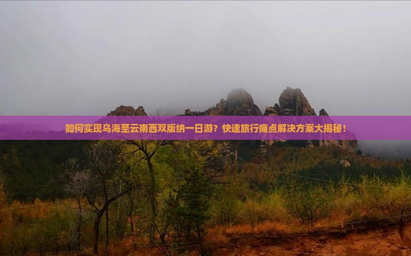 乌海到云南西双版纳一日