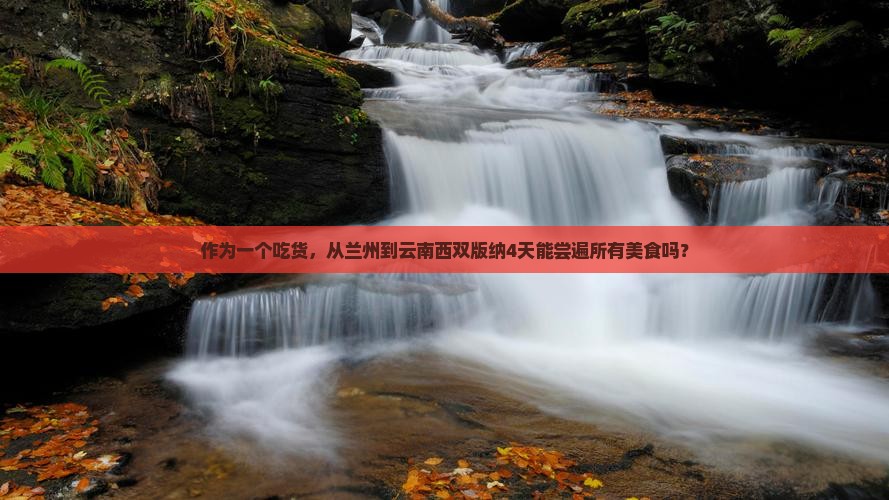 兰州去云南西双版纳四日游 兰州去云南西双版纳四日游