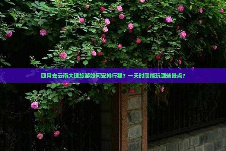 四月到云南大理一日