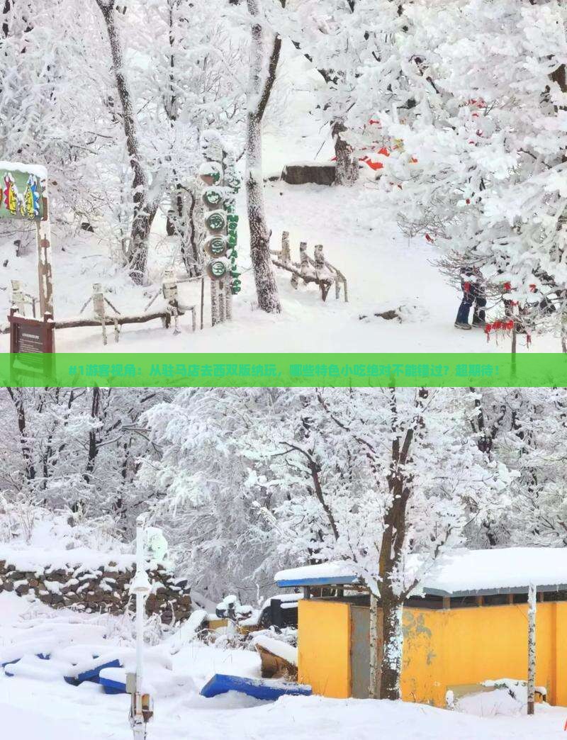 驻马店到云南西双版纳旅游小吃
