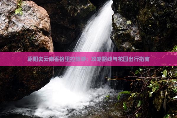 朝阳去云南香格里拉旅游