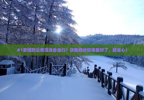 安顺去云南洱海自由行