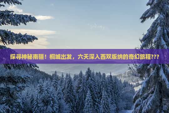 桐城到云南西双版纳六日游
