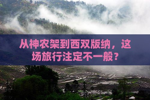 神农架去云南西双版纳大型旅游团