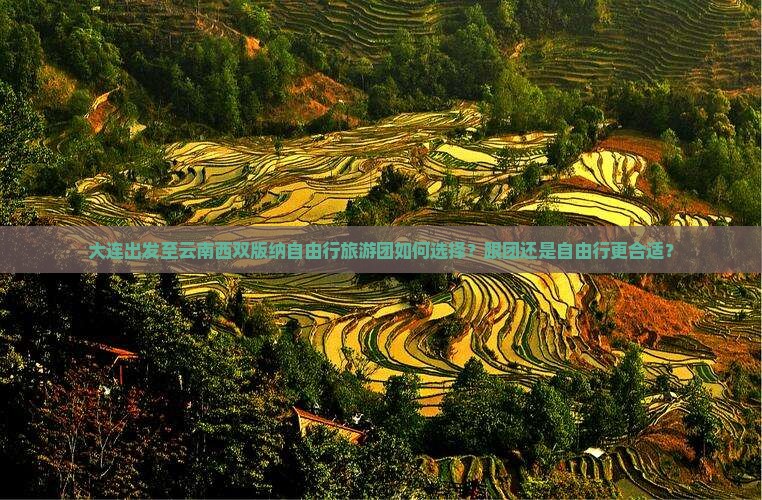 大连到云南西双版纳自由团