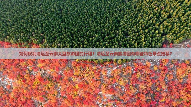 清远到云南大型旅游团