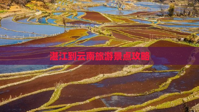 湛江去云南必去地