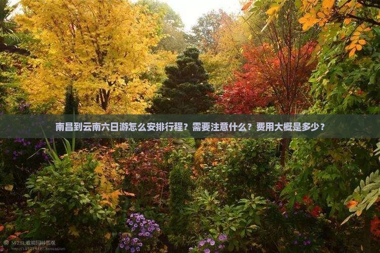 南昌到云南六日游