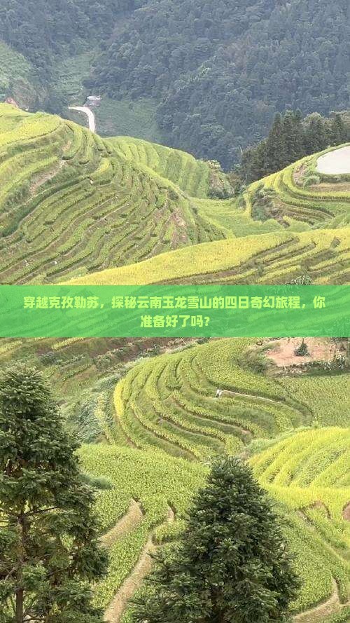 克孜勒苏到云南玉龙雪山四日游