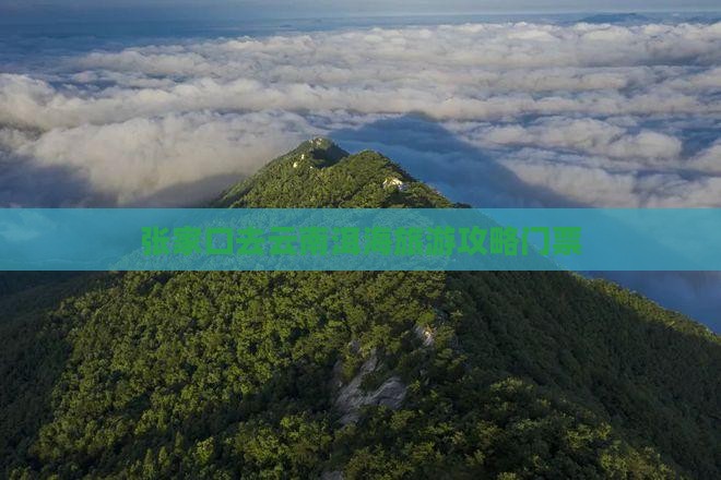 张家口去云南洱海门票