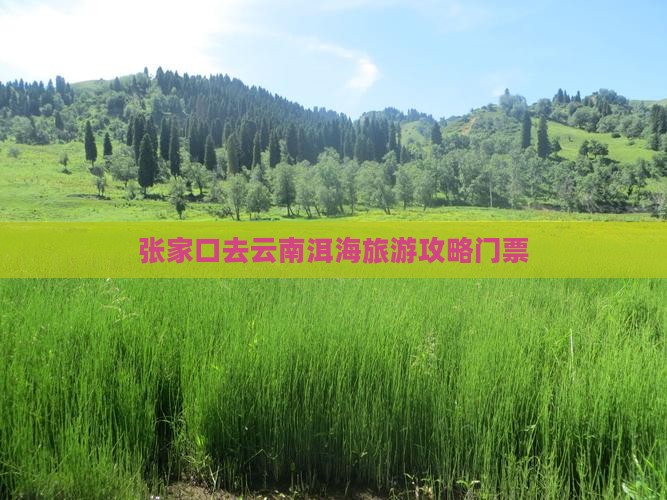 张家口去云南洱海门票