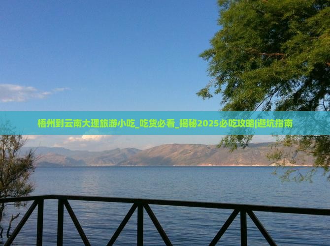 梧州到云南大理旅游小吃 梧州到云南大理旅游小吃