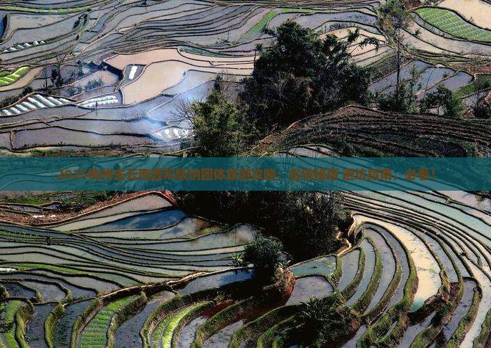 梅州去云南西双版纳团体旅游