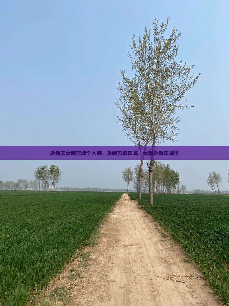 永新去云南古城个人游