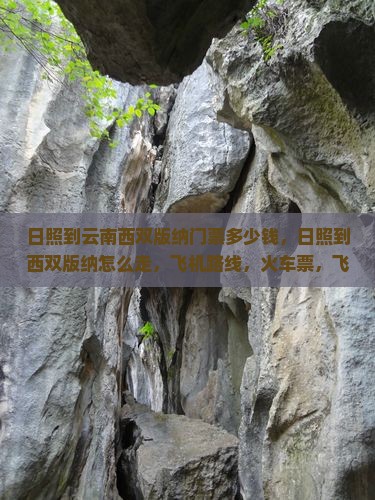 日照到云南西双版纳门票 日照到云南西双版纳门票