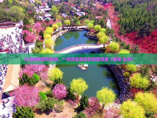 玉树去云南西双版纳旅游