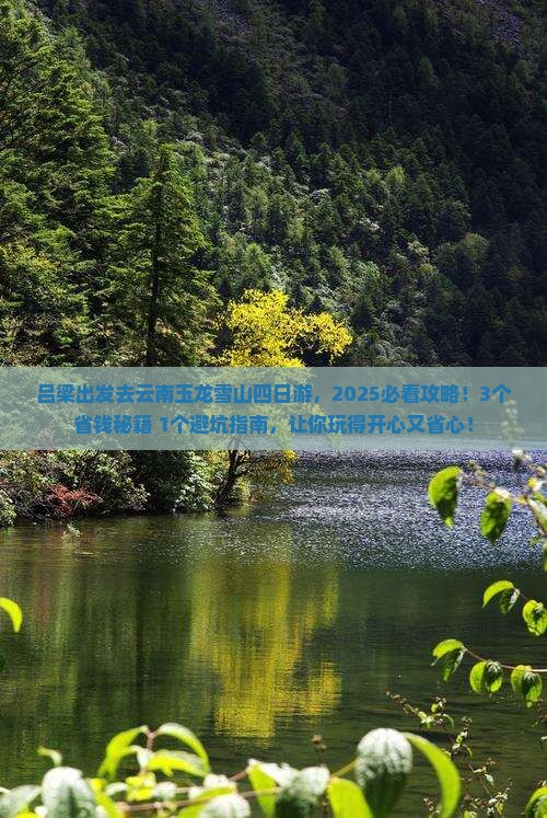 吕梁去云南玉龙雪山四日游