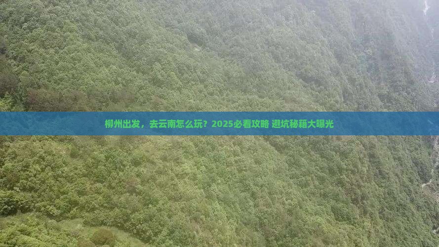 柳州到云南攻略