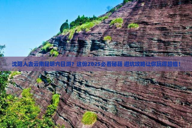 沈阳去云南昆明六日游