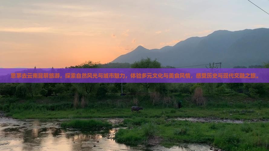 思茅去云南昆明旅游