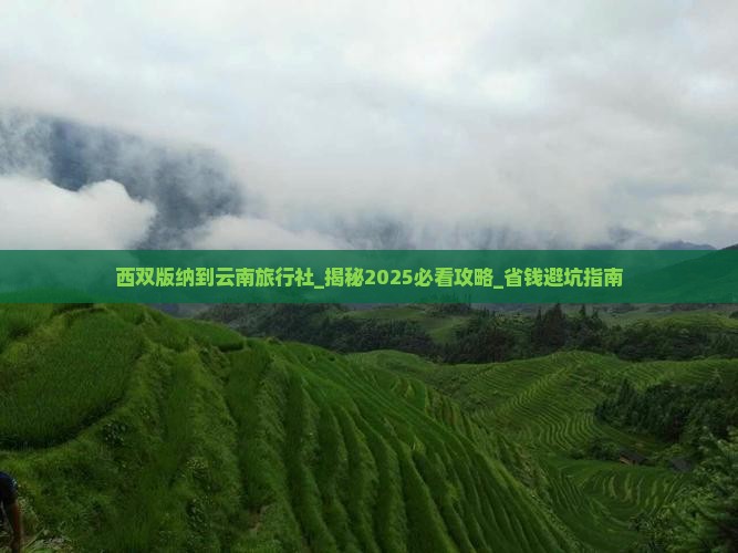 西双版纳到云南旅行社