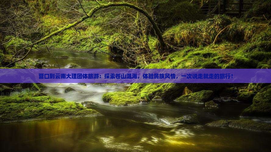 营口到云南大理团体旅游
