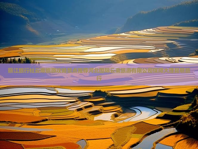 丽江去云南昆明旅行社