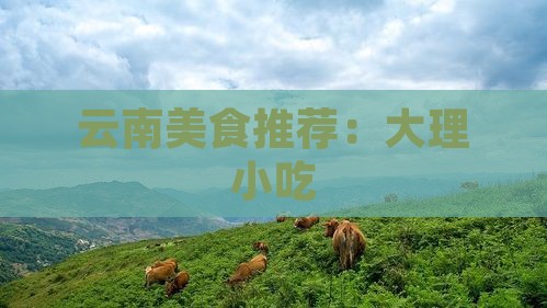 延边去云南大理旅游小吃
