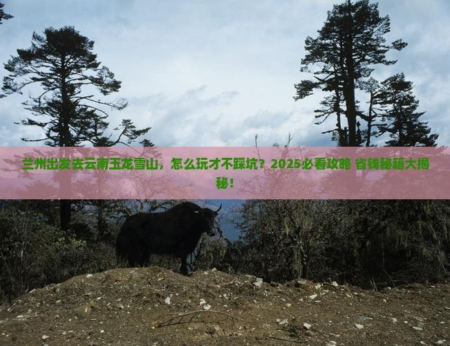 兰州去云南玉龙雪山哪里玩