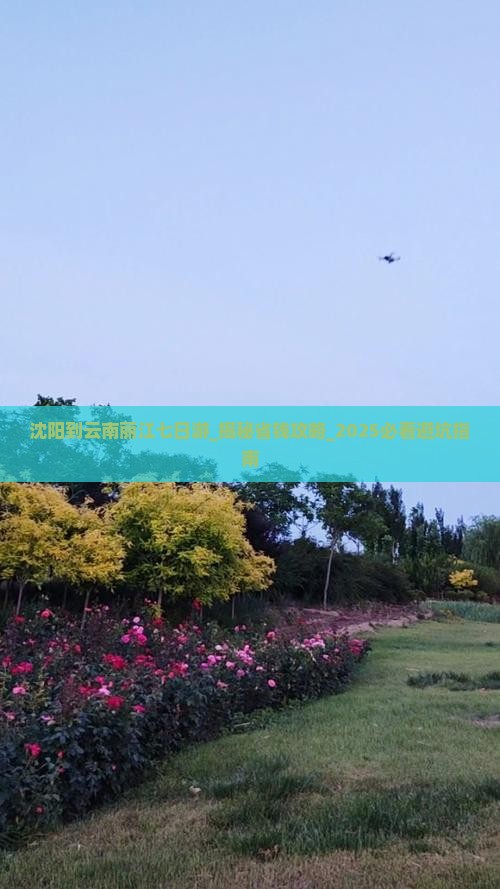 沈阳到云南丽江七日游