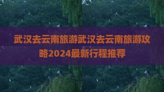 武汉去云南旅游
