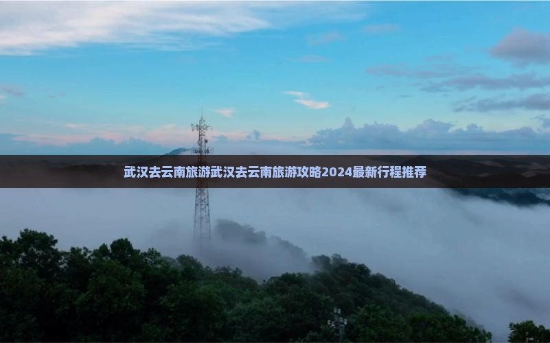 武汉去云南旅游