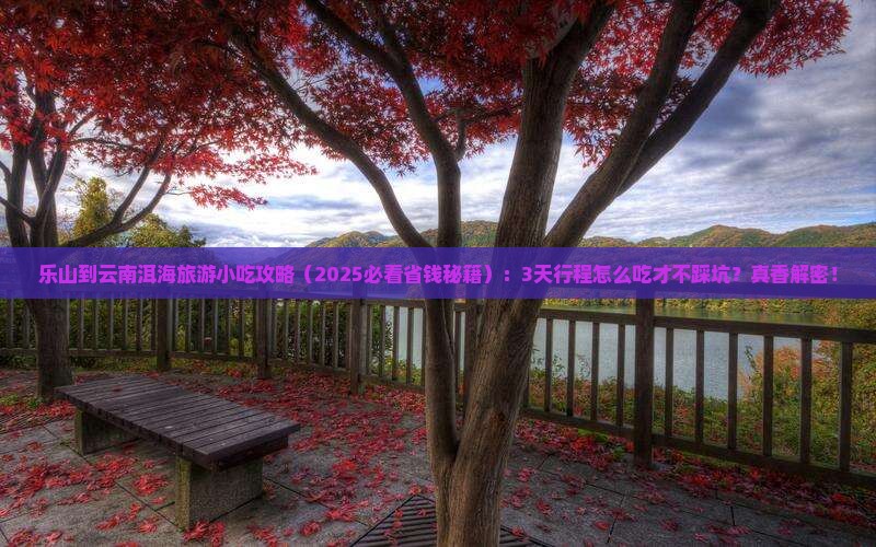 乐山到云南洱海旅游小吃