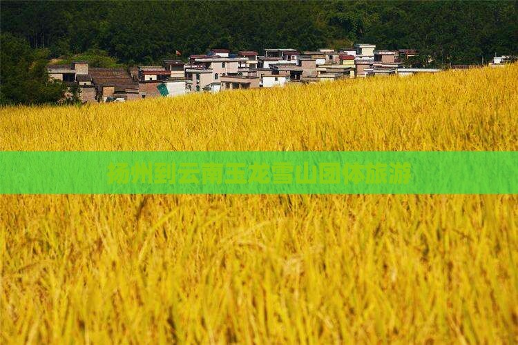 扬州到云南玉龙雪山团体旅游