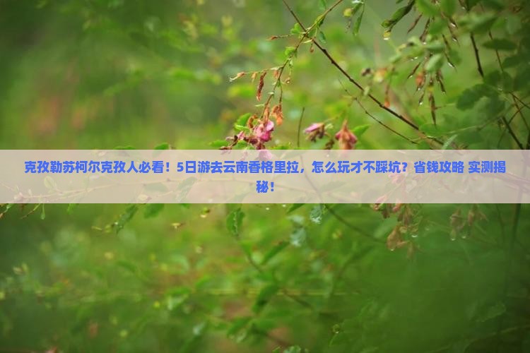 克孜勒苏柯尔克孜到云南香格里拉五日游