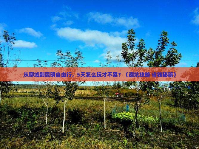 聊城去云南昆明自由行