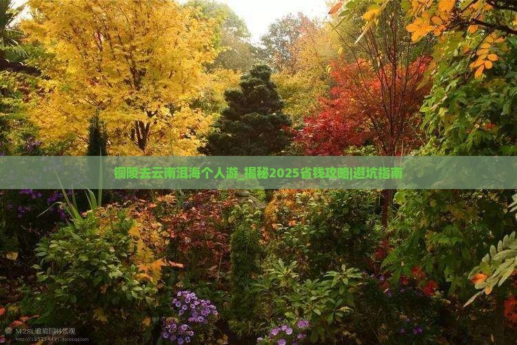 铜陵去云南洱海个人游