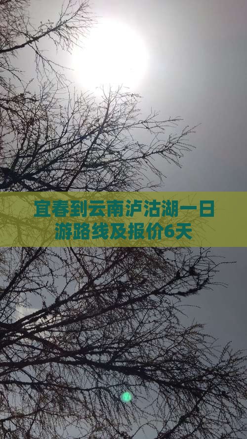 宜春到云南泸沽湖一日