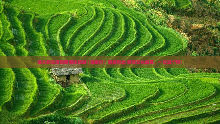 遵义到云南昆明团体旅游