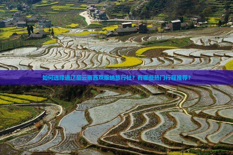 通辽到云南西双版纳旅行社