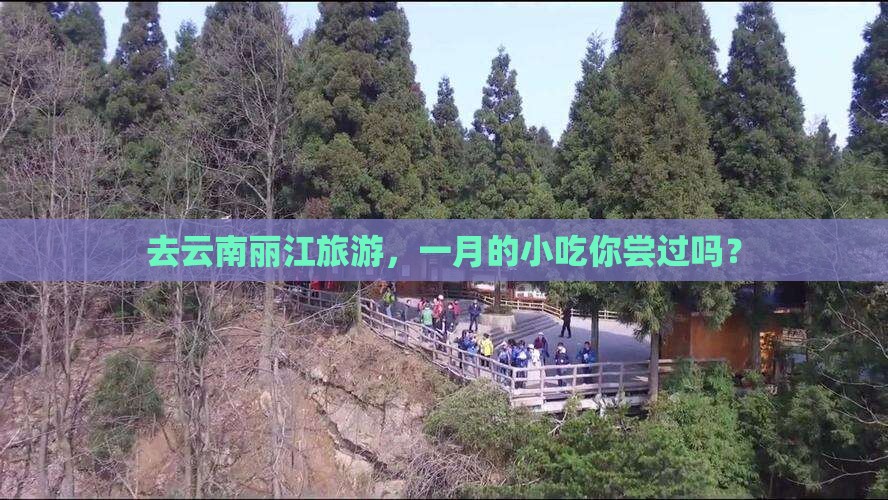 一月到云南丽江旅游小吃